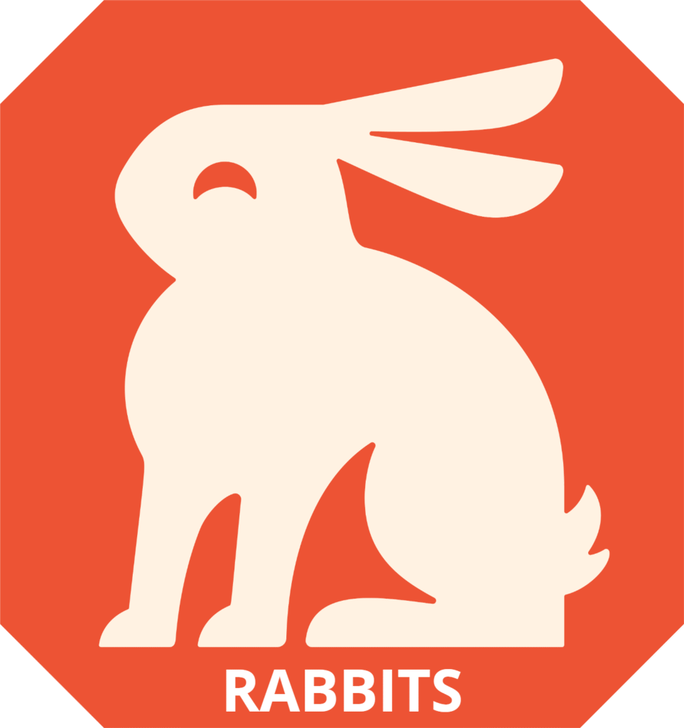 Adopt a rabbit