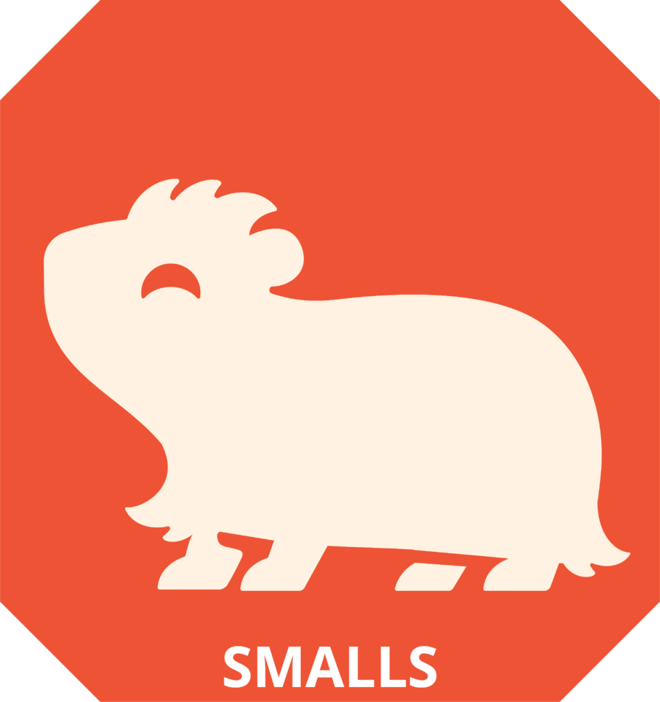 Adopt a small animal